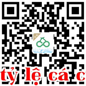 Ứng dụng tài xế của Vận